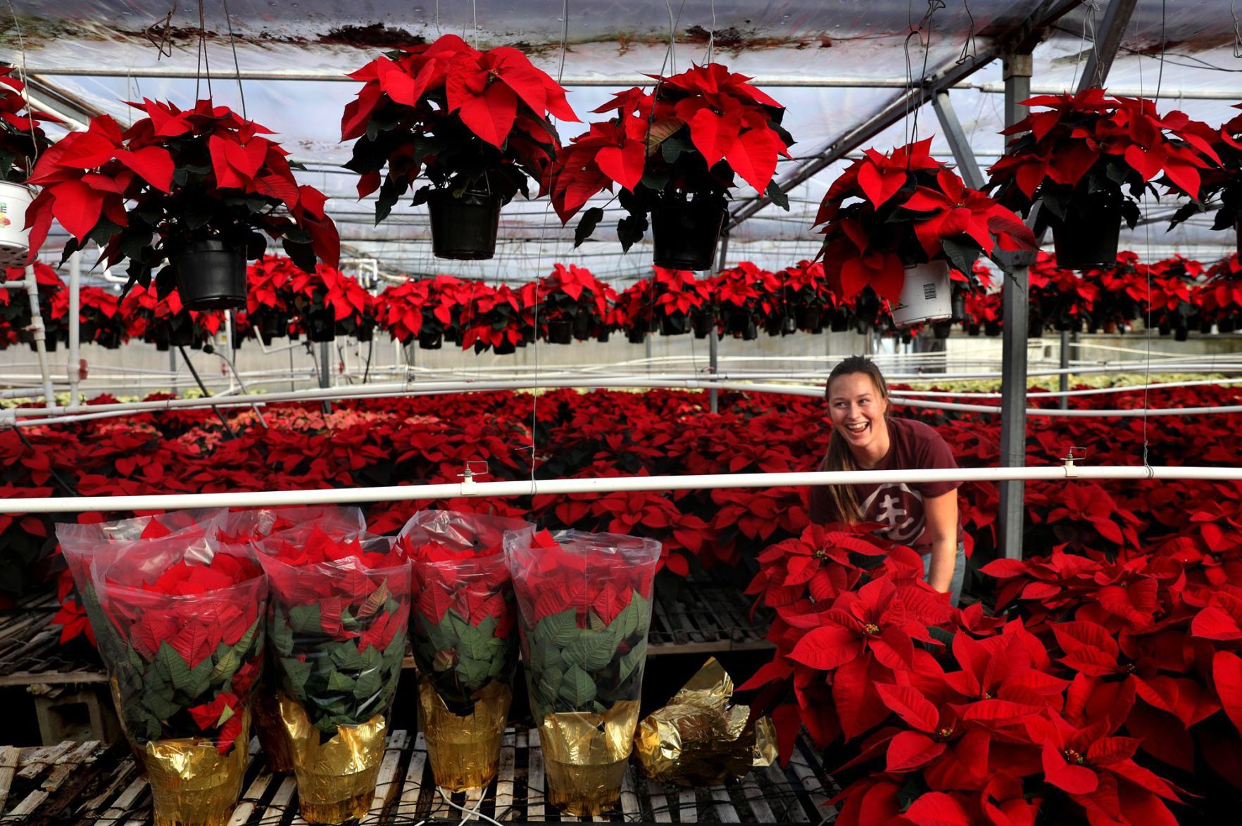 Fahr Greenhouses